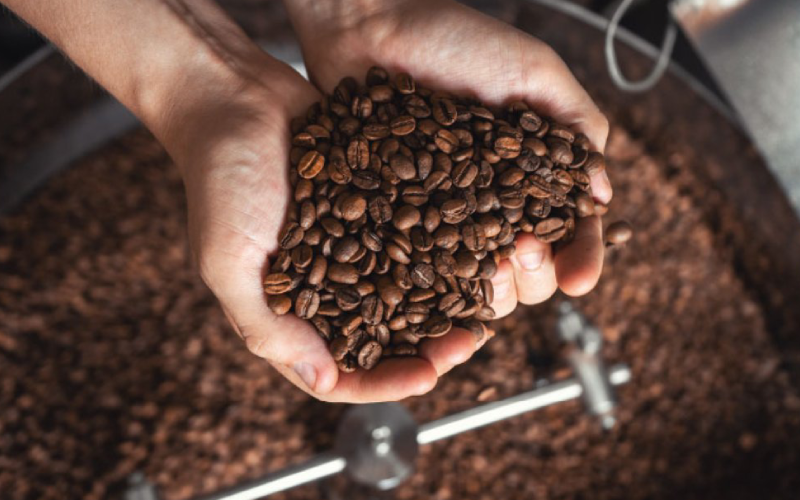 Yếu Tố "Thương Hiệu" và GIÁ TRỊ CÀ PHÊ ARABICA Cao Cấp